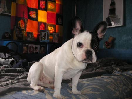 RE !! Annibal