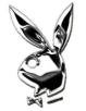 playboy