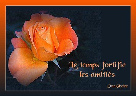 pour tout mes amis(ies)