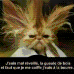   ptdr !!!